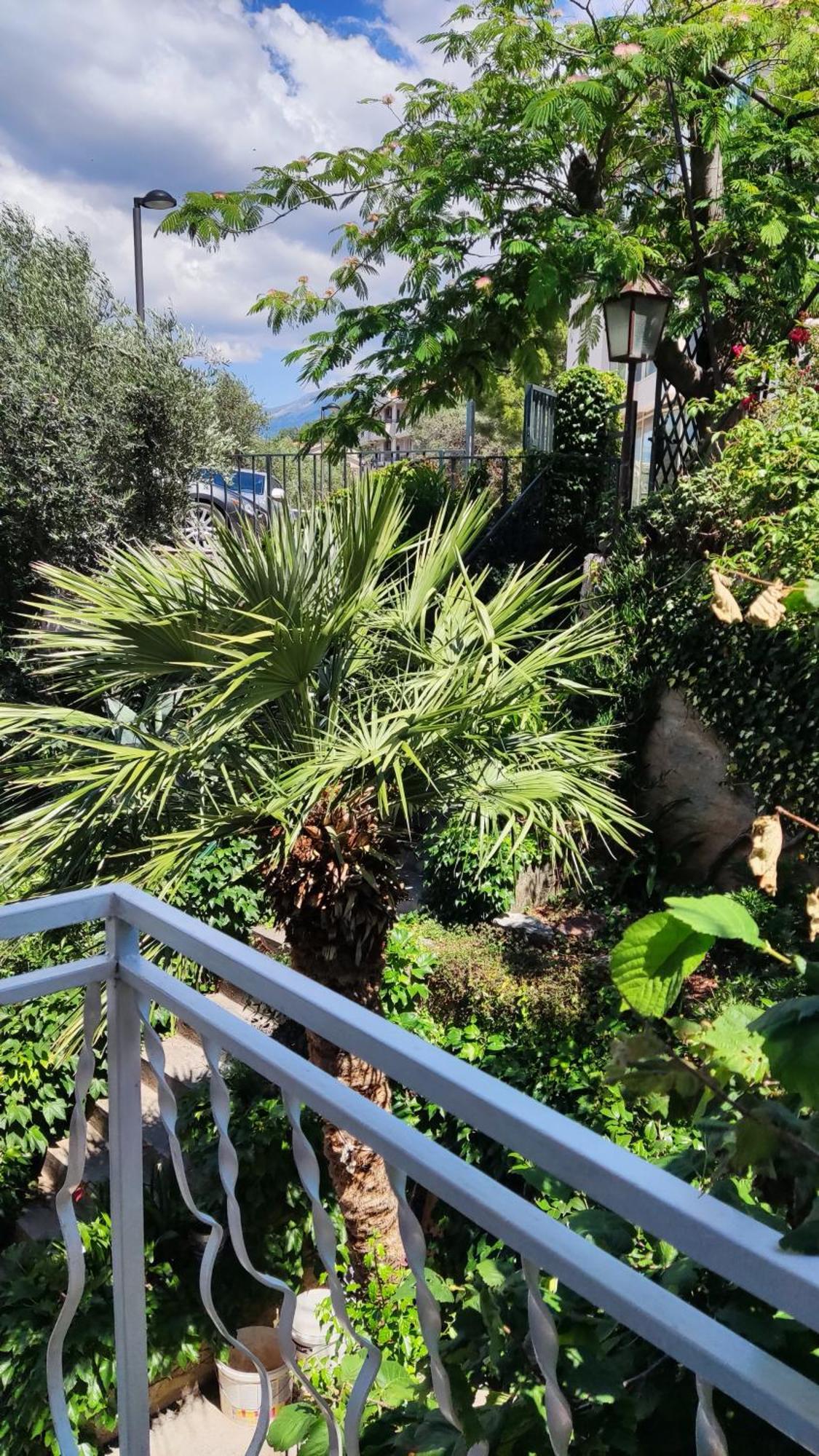 Apartmani Famelja Jovanovic Ilha Ilha Sveti Stefan Quarto foto